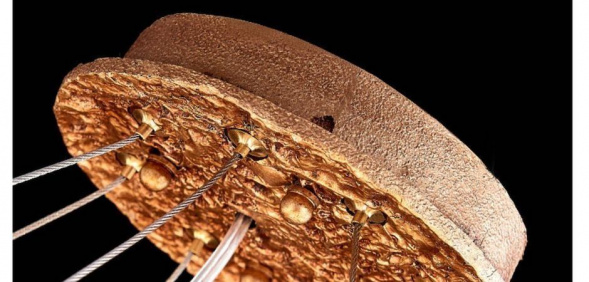 Подвесная люстра Imperium Loft Fairytree 184495-22