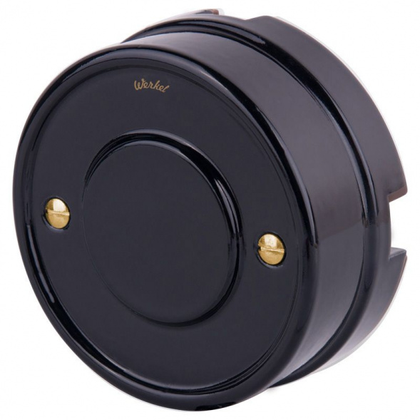 Набор винтов Werkel для распределительной коробки/TV розетки Ретро золото WL18-22-01 4690389105906