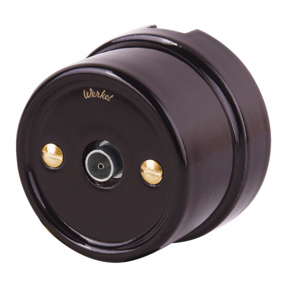 Набор винтов Werkel для распределительной коробки/TV розетки Ретро золото WL18-22-01 4690389105906