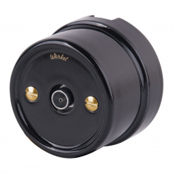 Набор винтов Werkel для распределительной коробки/TV розетки Ретро золото WL18-22-01 4690389105906