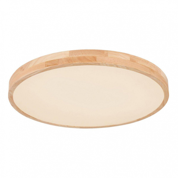 Потолочный светодиодный светильник Globo Leanara 41756-48