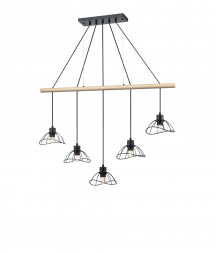 Подвесной светильник Vele Luce Formula VL6482P05