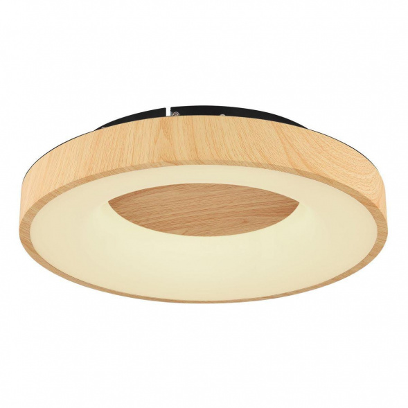 Потолочный светодиодный светильник Globo Jolli 41758-30