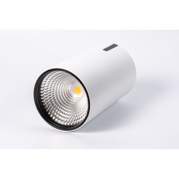 Потолочный светодиодный светильник Fiberli YONJA110 11140103