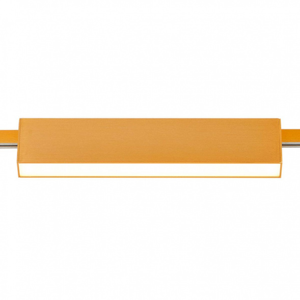 Трековый светодиодный светильник ST Luce Farm ST817.206.12