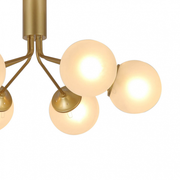 Потолочная люстра F-Promo Pax 2631-6U