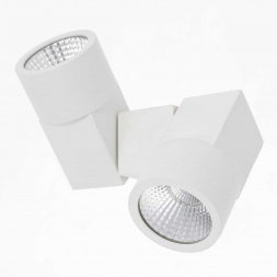 Потолочный светодиодный светильник Citilux Дубль CL556100