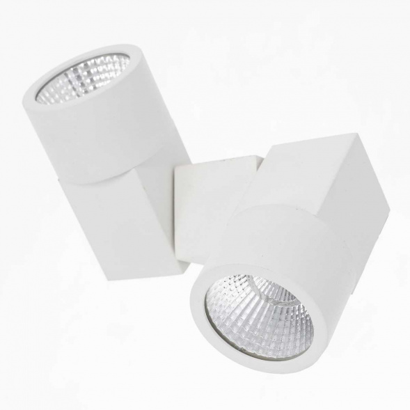 Потолочный светодиодный светильник Citilux Дубль CL556100