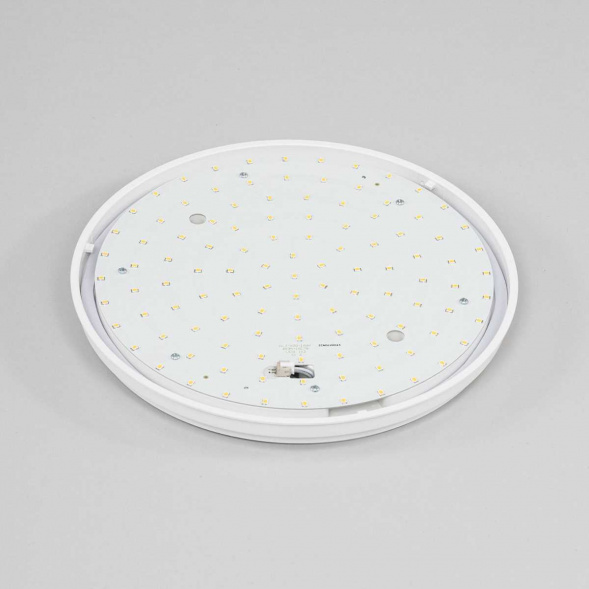 Потолочный светодиодный светильник Citilux Луна CL702161N