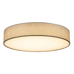 Потолочный светодиодный светильник Globo Paco 15185D5