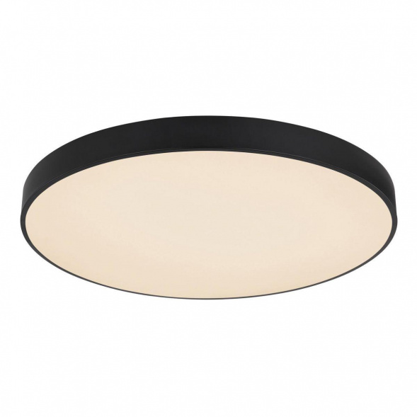 Потолочный светодиодный светильник Globo Leanara 41756-48B