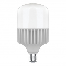 Лампа светодиодная Gauss E40 80W 6500K матовая 63438