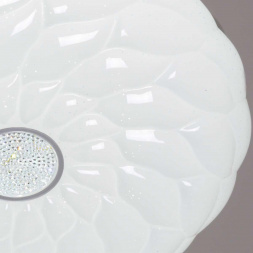 Потолочный светильник Reluce 00562-0.5-500