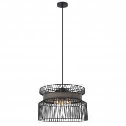 Подвесная люстра Favourite Korb 2363-2P