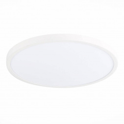 Настенно-потолочный светодиодный светильник ST Luce ST601.542.32