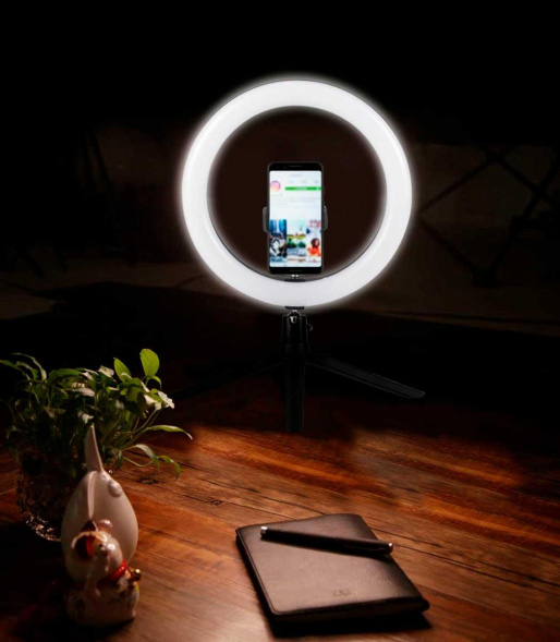 Настольная лампа Camelion KD-849 C02 13012