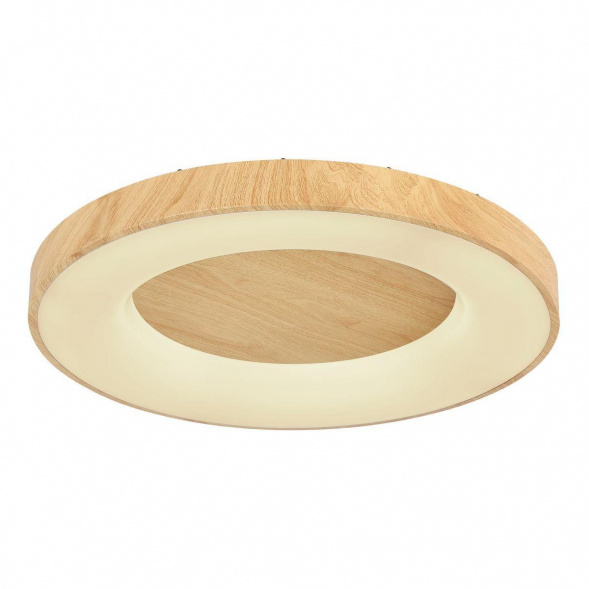 Потолочный светодиодный светильник Globo Jolli 41758-42