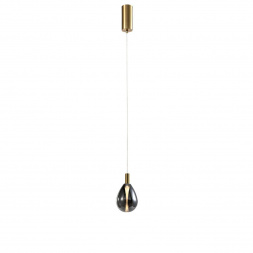 Подвесной светодиодный светильник Favourite Hopper 4255-1P