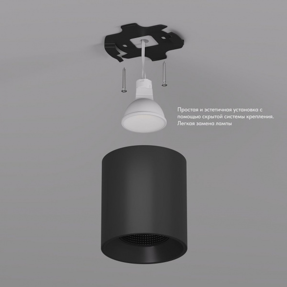 Накладной светильник Denkirs Rodvig DK3090-BK