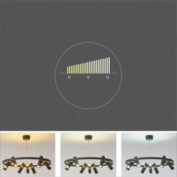 Подвесная люстра Imperium Loft Spoor 213697-26