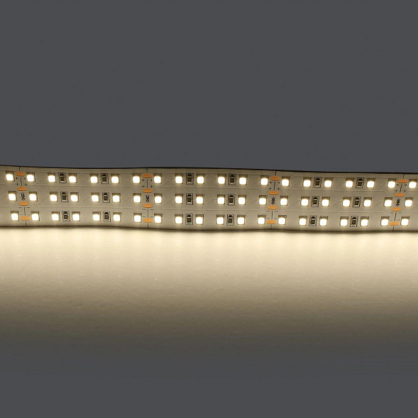 Светодиодная лента Lightstar 44W/m 360LED/m дневной белый 5M 423004