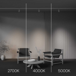 Трековый светодиодный светильник Maytoni Technical Focus Led TR197-3-12WCCT-M-W