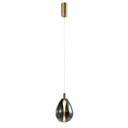 Подвесной светодиодный светильник Favourite Hopper 4255-2P