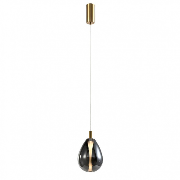 Подвесной светодиодный светильник Favourite Hopper 4255-2P