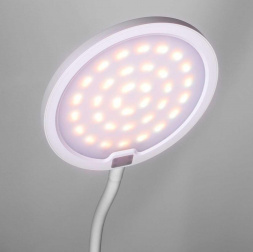 Настольная лампа Camelion KD-836 C01 13887