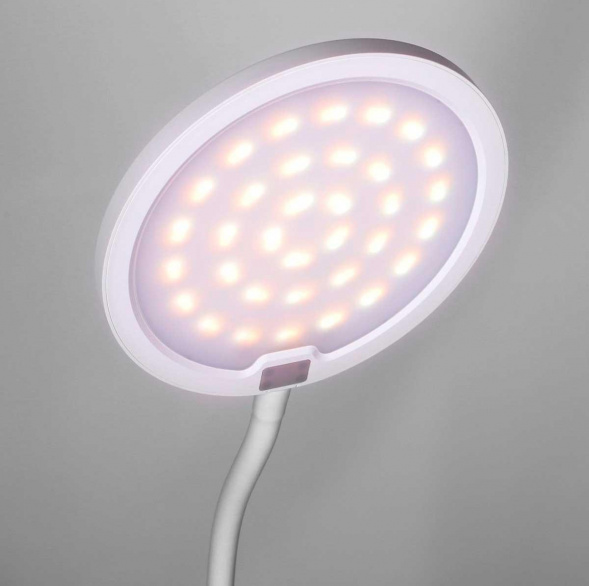 Настольная лампа Camelion KD-836 C01 13887