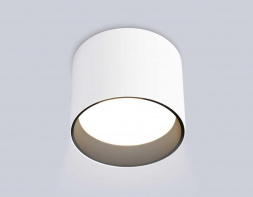 Светильник накладной Ambrella Light TN5303