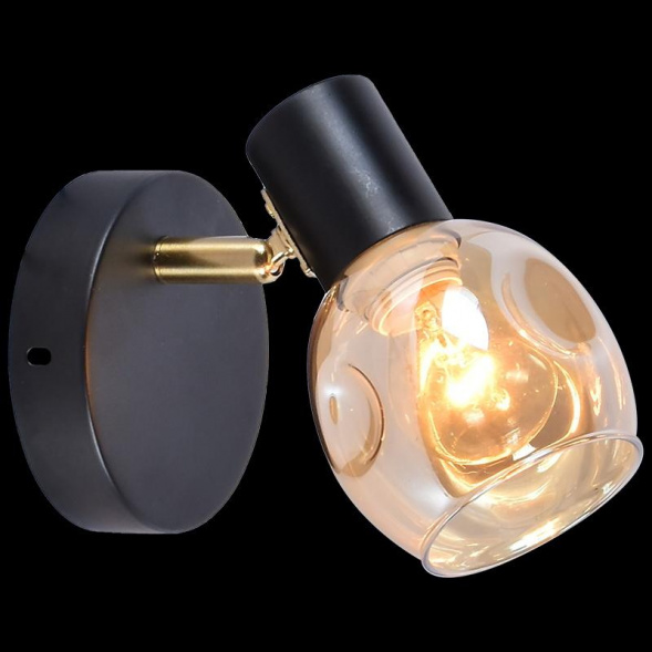 Настенный светильник Reluce 05961-0.8-01 BK+AB