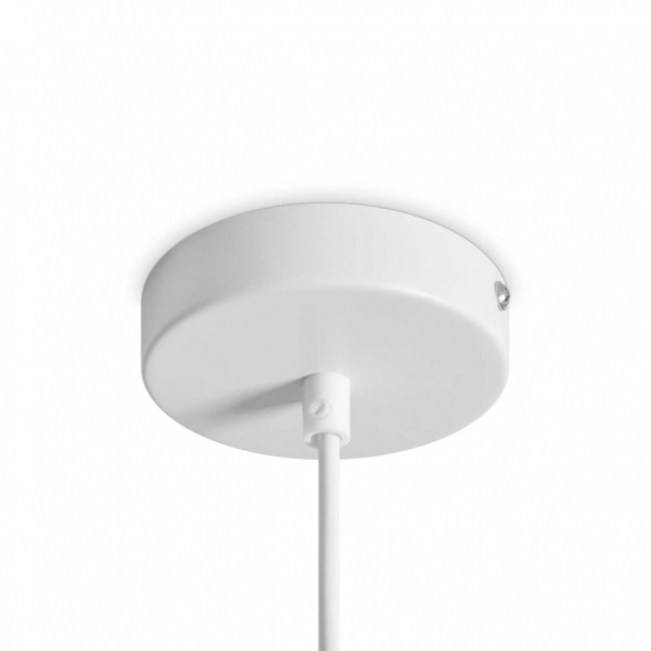 Подвесной светильник Freya Modern FR5530PL-L10W