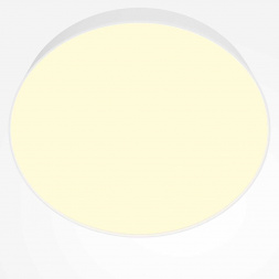 Потолочный светильник Technical C032CL-45W2.7K-RD-W