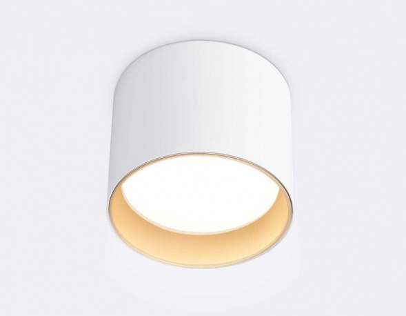 Светильник накладной Ambrella Light TN5304