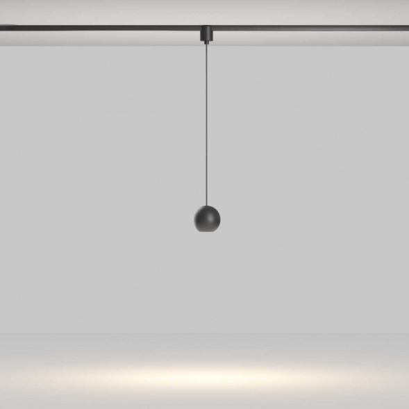 Трековый подвесной светильник Maytoni Technical TR165-1-8W3K-M-B