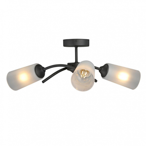 Потолочная люстра Vitaluce V2850-1/3PL