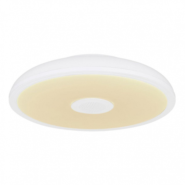 Потолочный светодиодный светильник Globo Raffy 41366W