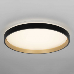 Светильник потолочный Citilux ENZO CL753511G