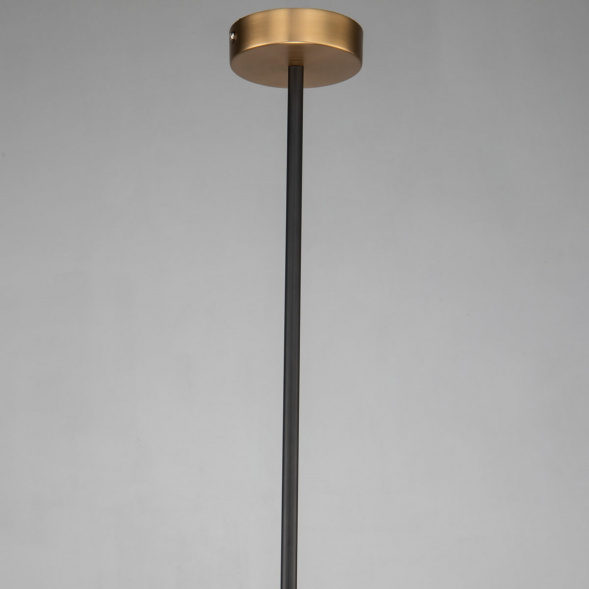 Подвесной светильник Favourite Roshe 2624-1P