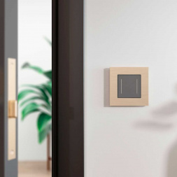 Рамка Werkel AluMax на 1 пост шампань W0013511 4690389204029