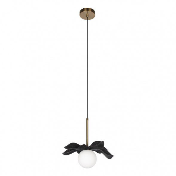 Подвесной светильник Loft IT Monro 10213/A Black