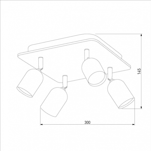 Спот TK Lighting 4418 Top