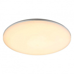 Потолочный светодиодный светильник Globo Dori 32118-24