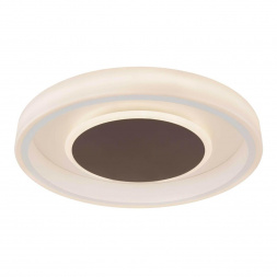 Потолочный светодиодный светильник Globo Goffi 48398-40