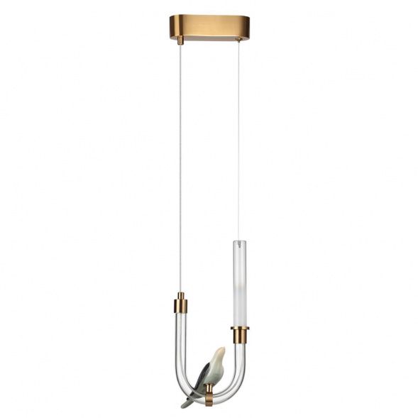 Подвесной светодиодный светильник Odeon Light L-Vision Lark 5431/2L