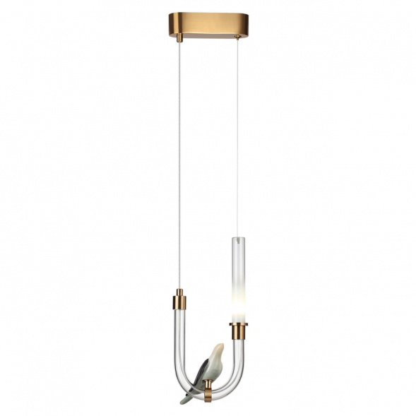 Подвесной светодиодный светильник Odeon Light L-Vision Lark 5431/2L