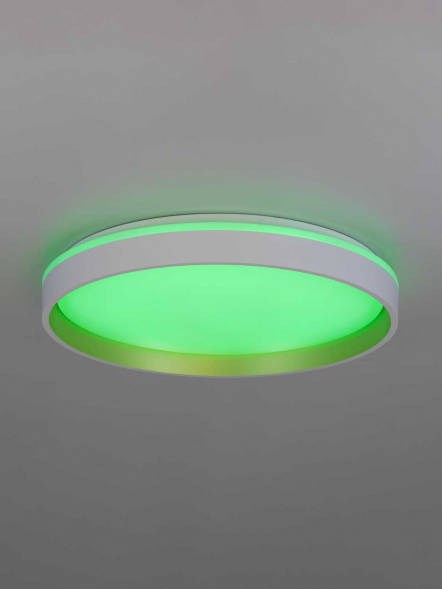 Светильник потолочный Citilux ENZO CL753450G