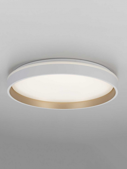 Светильник потолочный Citilux ENZO CL753450G