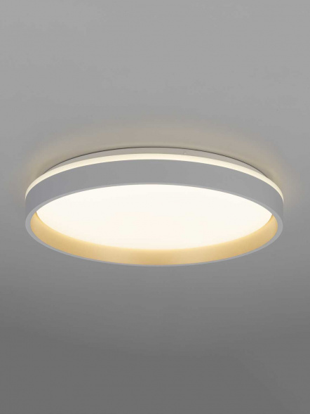 Светильник потолочный Citilux ENZO CL753450G